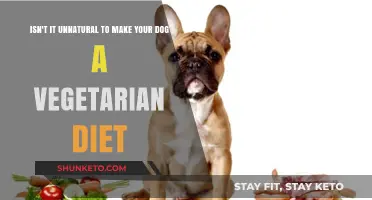 Vegetarian Dog Diet: Unnatural or Healthy Choice?