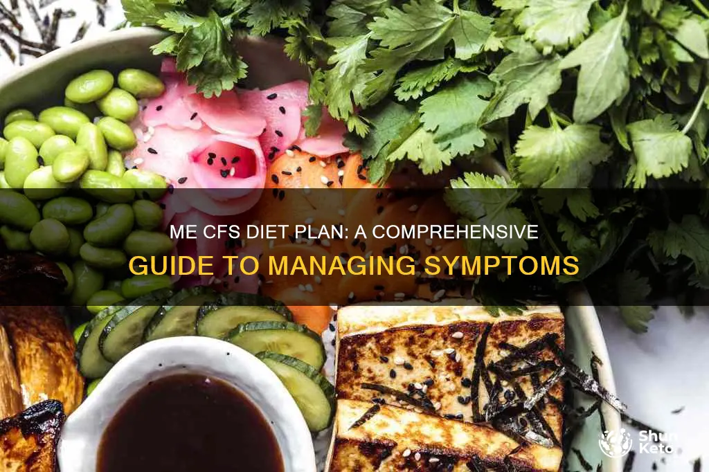 me cfs diet plan