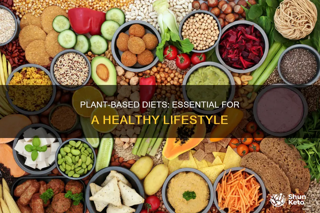 must have plant based diet