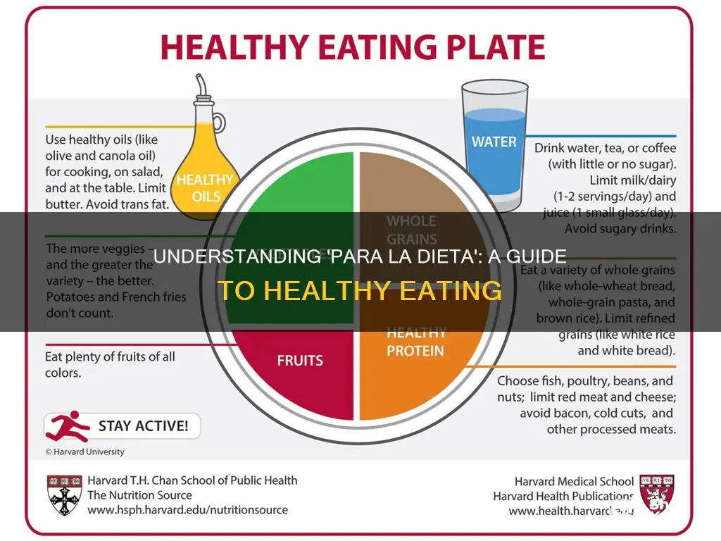 para la dieta meaning