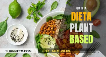 La dieta basada en plantas: una guía completa