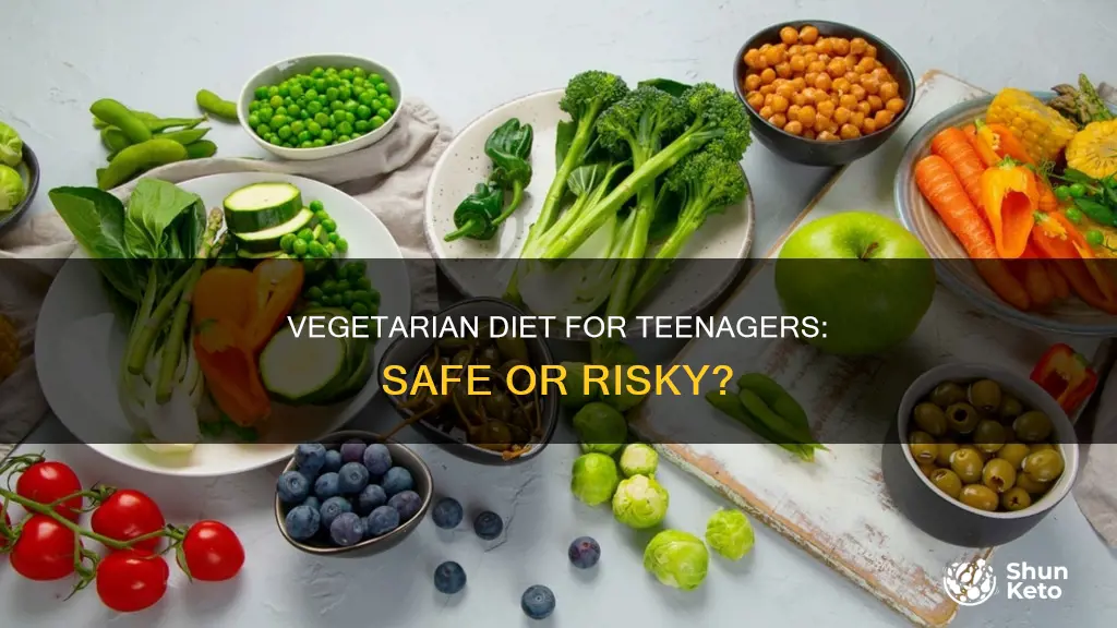 should a 14 year old vegetarian diet