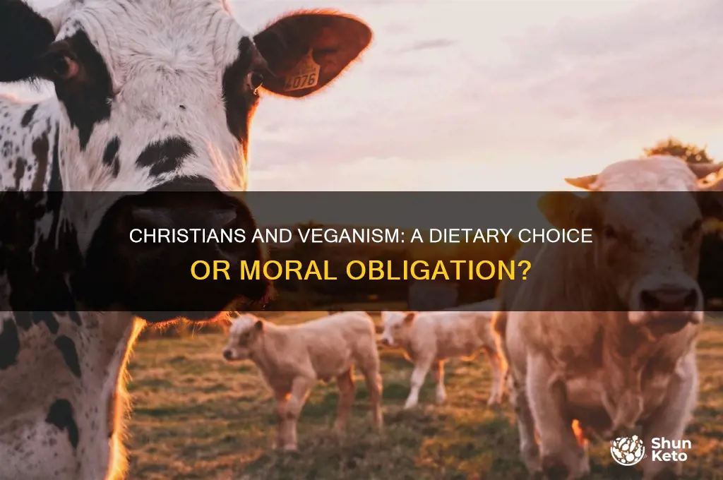 should a christian pursue a vegan diet