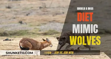 Wolves and Dogs: Similar Diets or Different Needs?