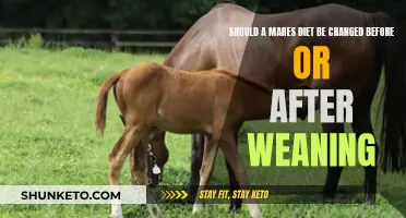 Mare's Diet: Pre- or Post-Weaning Changes?