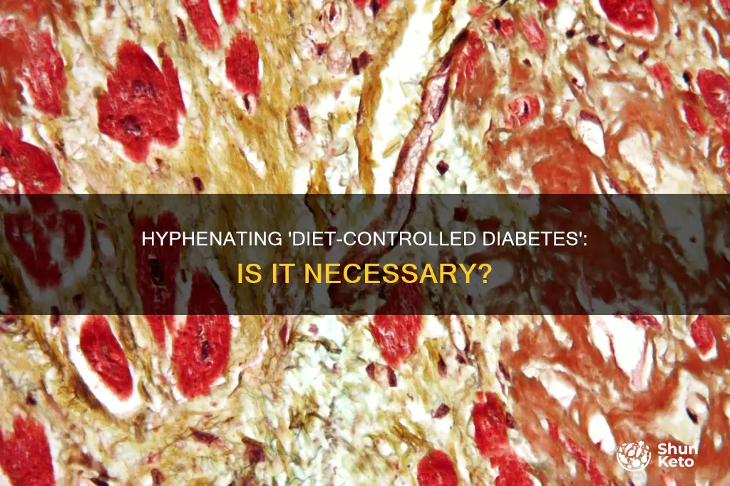 should diet controlled diabetes be hyphenated