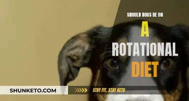 Rotational Diet for Dogs: A Healthy Choice?