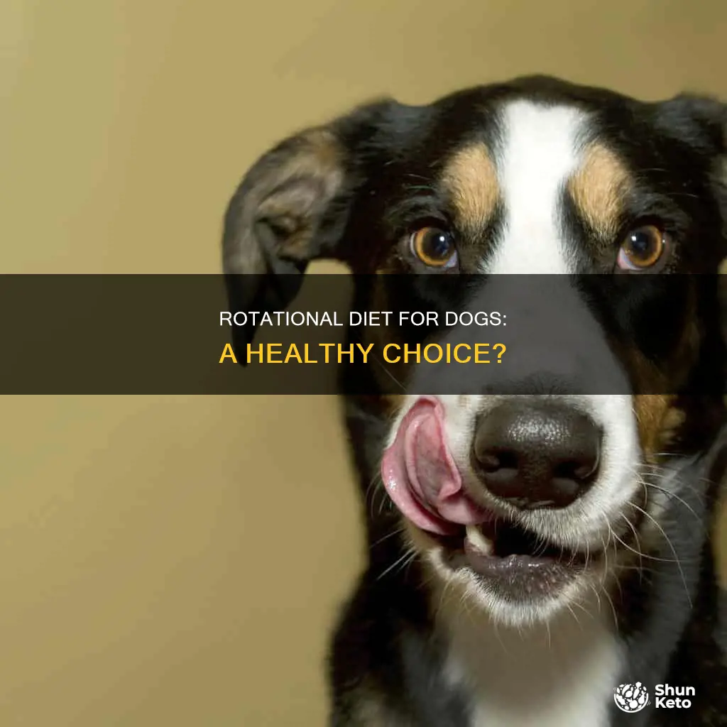 should dogs be on a rotational diet