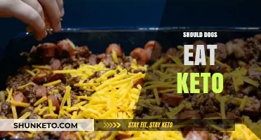 Can Dogs Go Keto? Exploring the Pros and Cons of a Low-Carb Diet