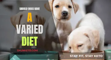 Dogs' Diet: Variety or Monotony?