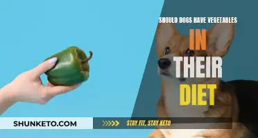 Vegetables for Dogs: A Healthy Dietary Addition?