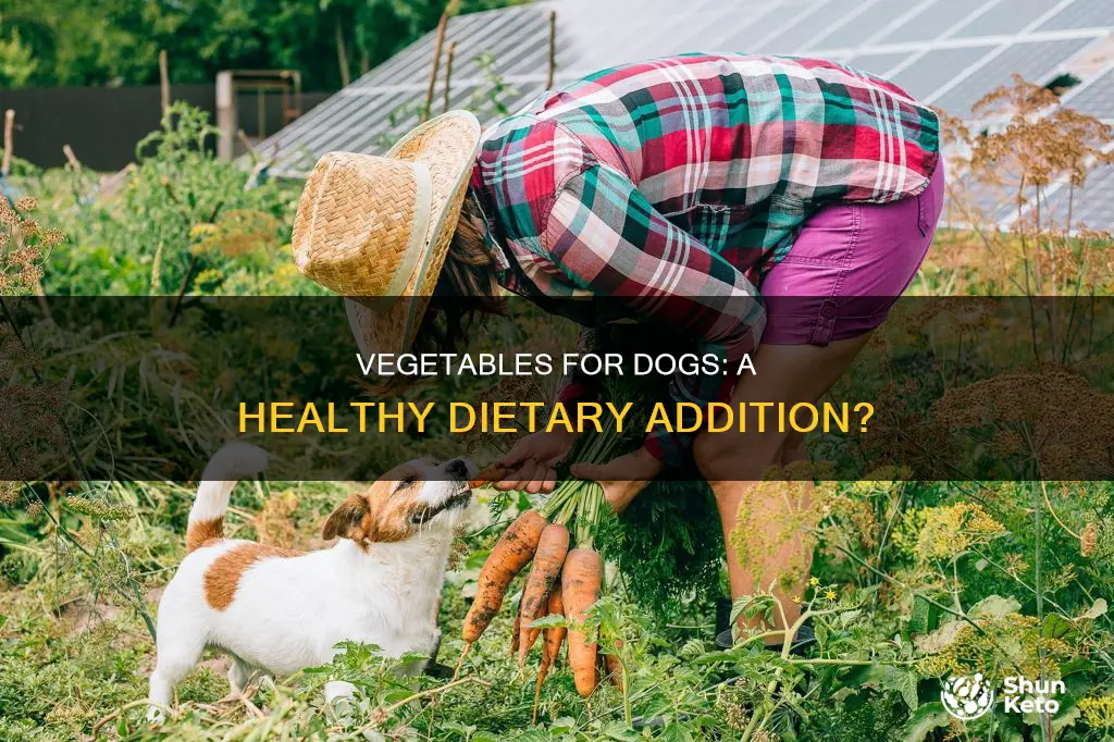 should dogs have vegetables in their diet