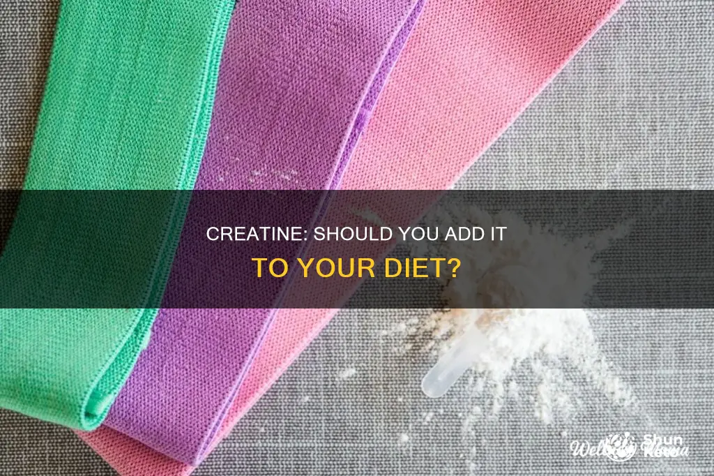 should i add creatine to my diet