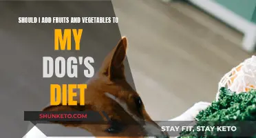 Benefits of Fruits and Veggies in Your Dog's Diet