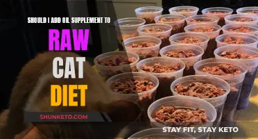 Raw Cat Diet: Oil Supplements, Yay or Nay?