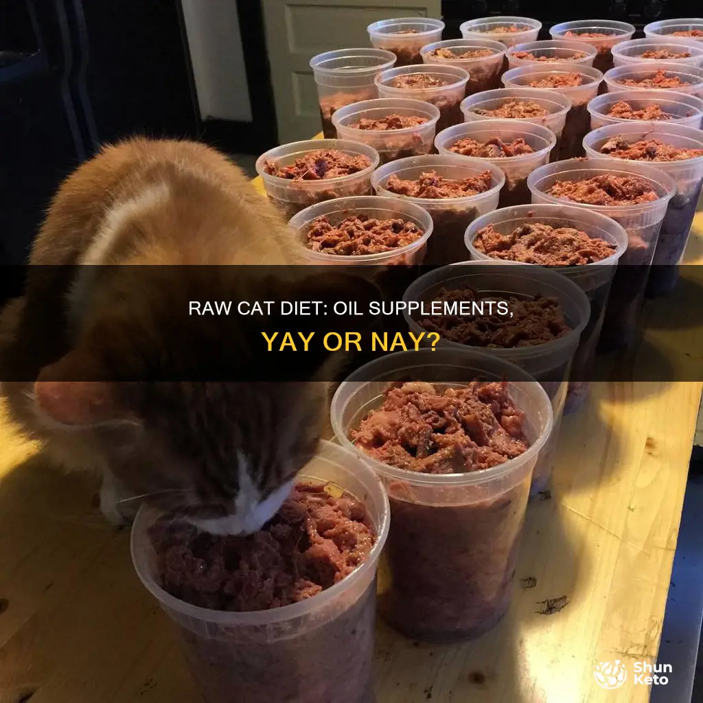 should i add oil supplement to raw cat diet