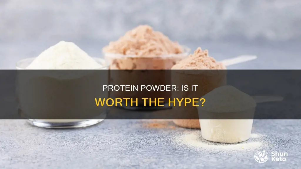 should i add protein powder to my diet