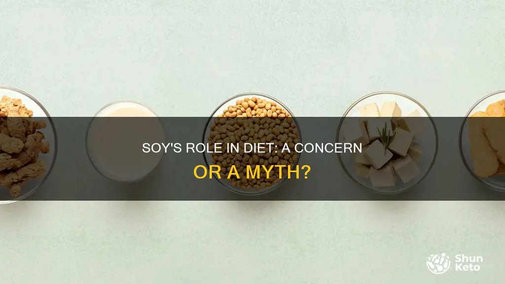 should i be worried about the soy in diet plans