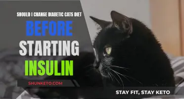 Insulin for Diabetic Cats: Pre-Medication Diet Change?