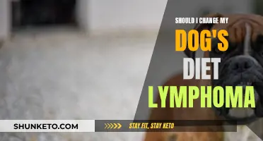 Diet Change for Dogs: Lymphoma Treatment and Prevention