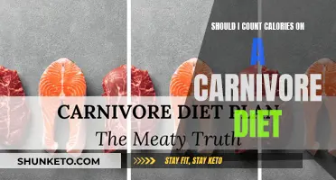 Calorie Counting on Carnivore Diet: Is It Necessary?