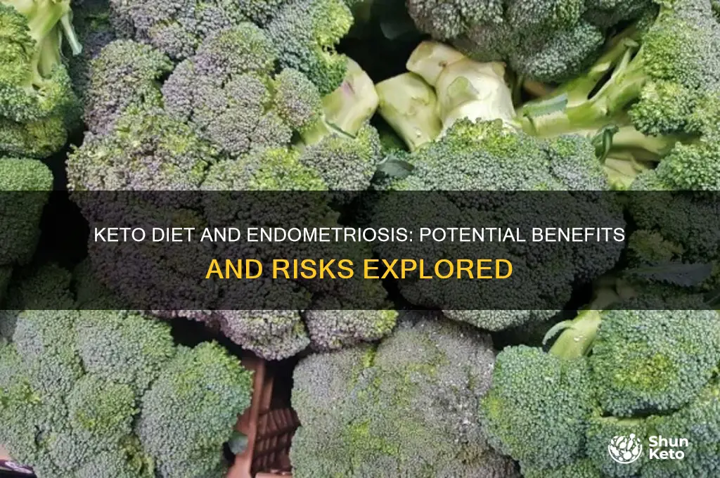 should i do the keto diet for endometriosis