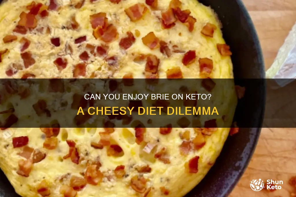 should i eat brie on a keto diet