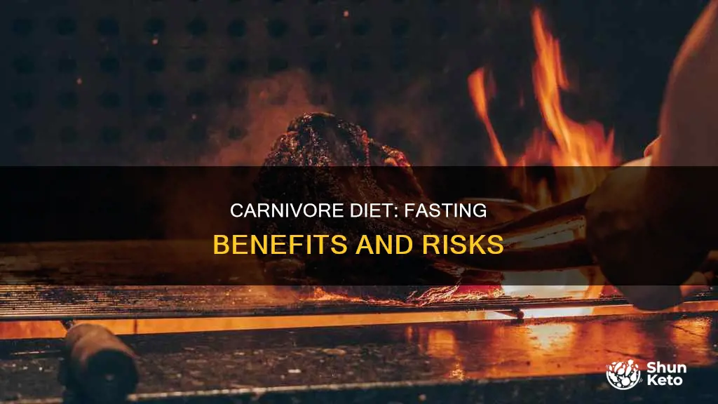 should i fast on carnivore diet
