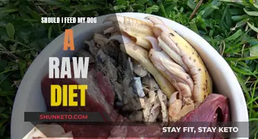 Raw Diet for Dogs: Good or Bad Idea?
