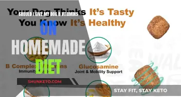 Vitamins for Dogs: B-Complex Benefits for Your Pup's Diet