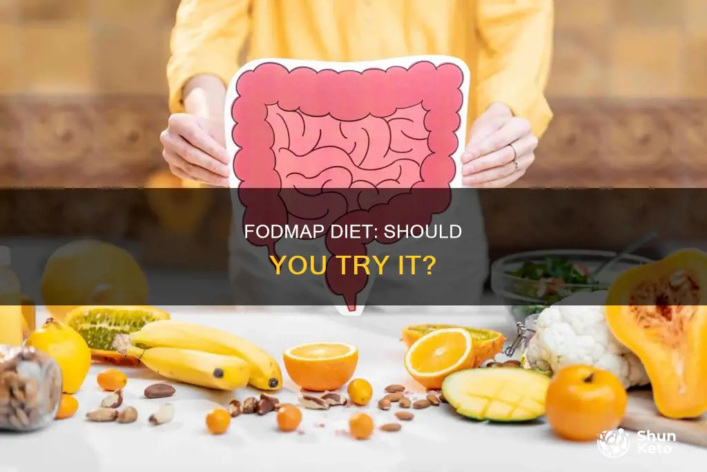 should i go on a fodmap diet