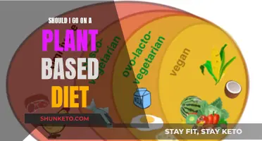 Plant-Based Diets: Healthy Choice or Unnecessary Restriction?