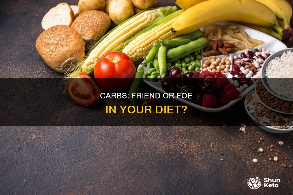 should i have carbs in my diet