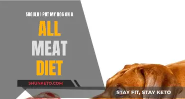 Meat-Only Diet: Good or Bad for Your Dog?