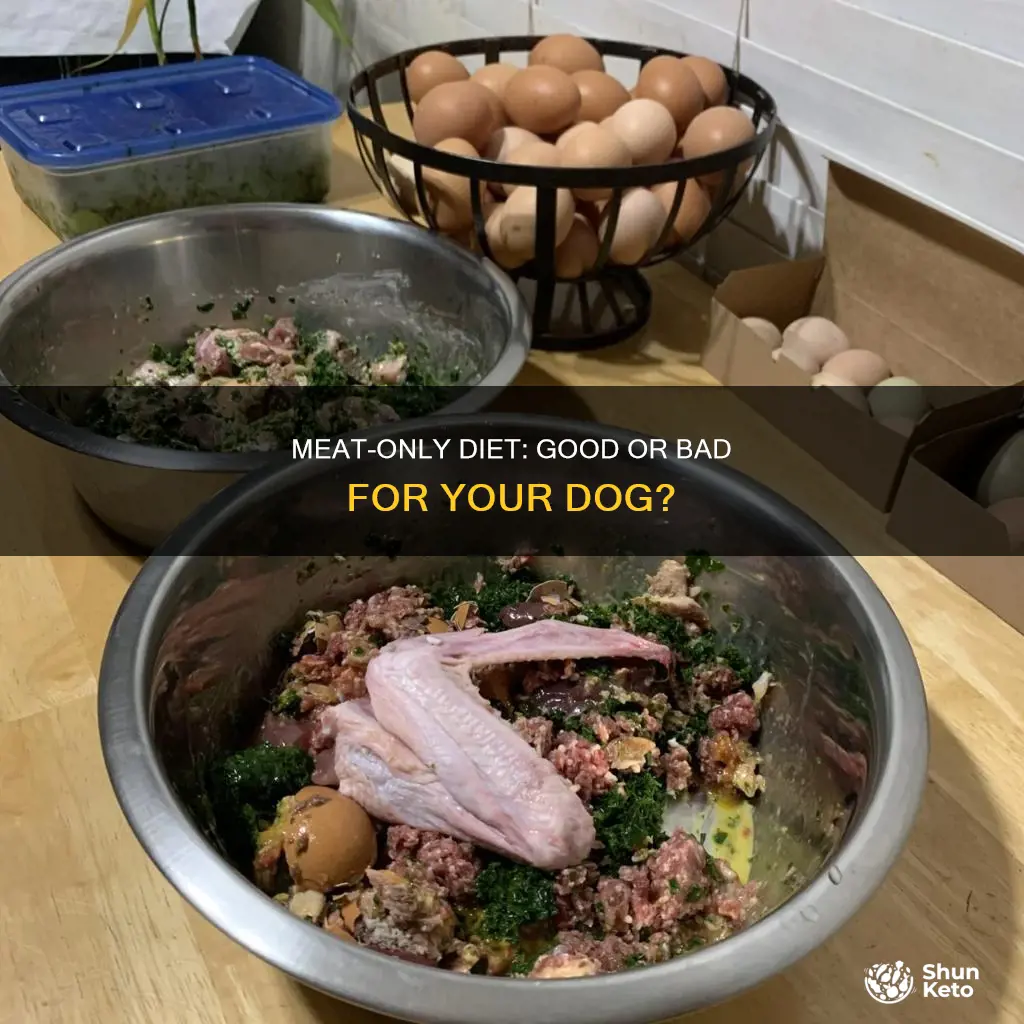 should i put my dog on a all meat diet