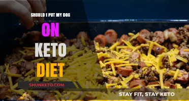 Is Keto Safe for Dogs? Exploring the Pros and Cons