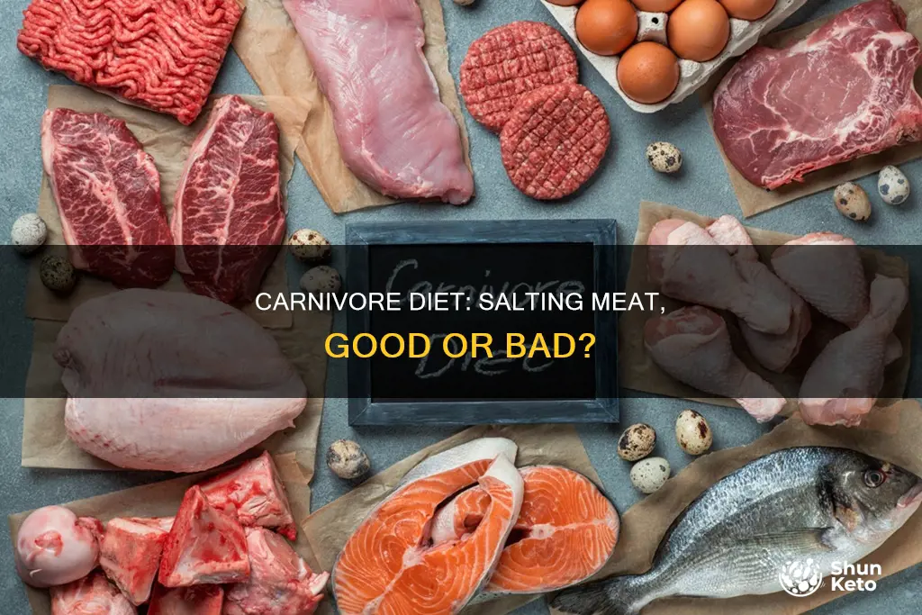 should i salt my meat on a carnivore diet