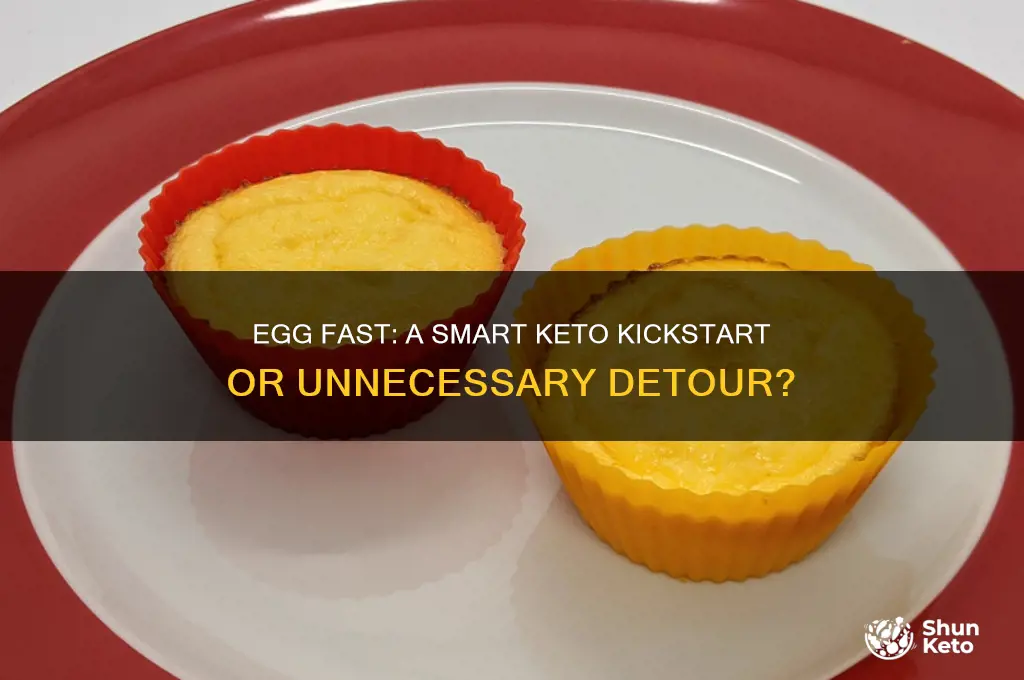 should i start the keto diet with an egg fast