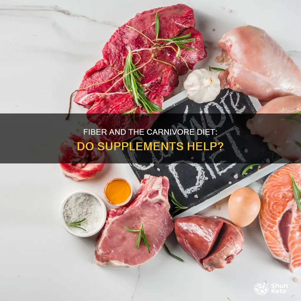 should i take a fiber supplement on carnivore diet