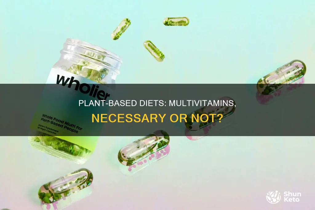 should i take a multivitaminon plant based diet