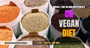 Iron Supplements: A Vegan Diet Necessity?