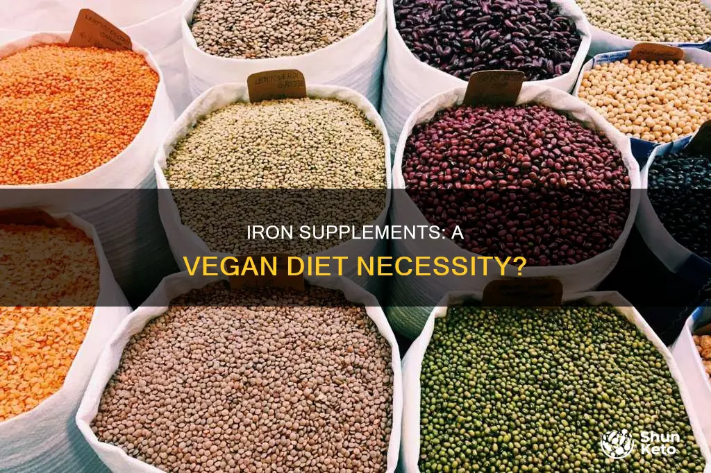 should i take an iron supplements on vegan diet