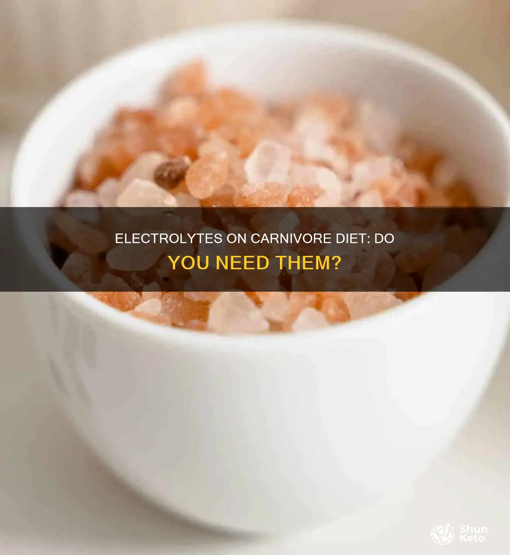 should i take electrolytes on carnivore diet