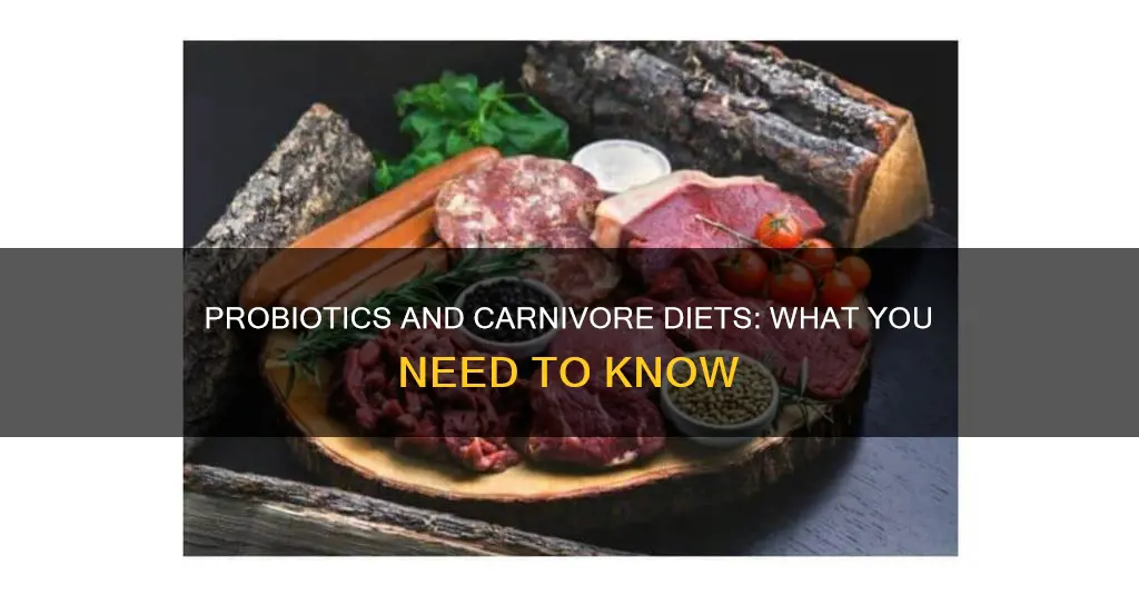 should i take probiotics on carnivore diet
