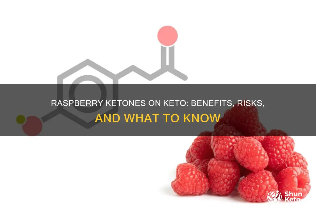 should i take raspberry ketones on keto diet