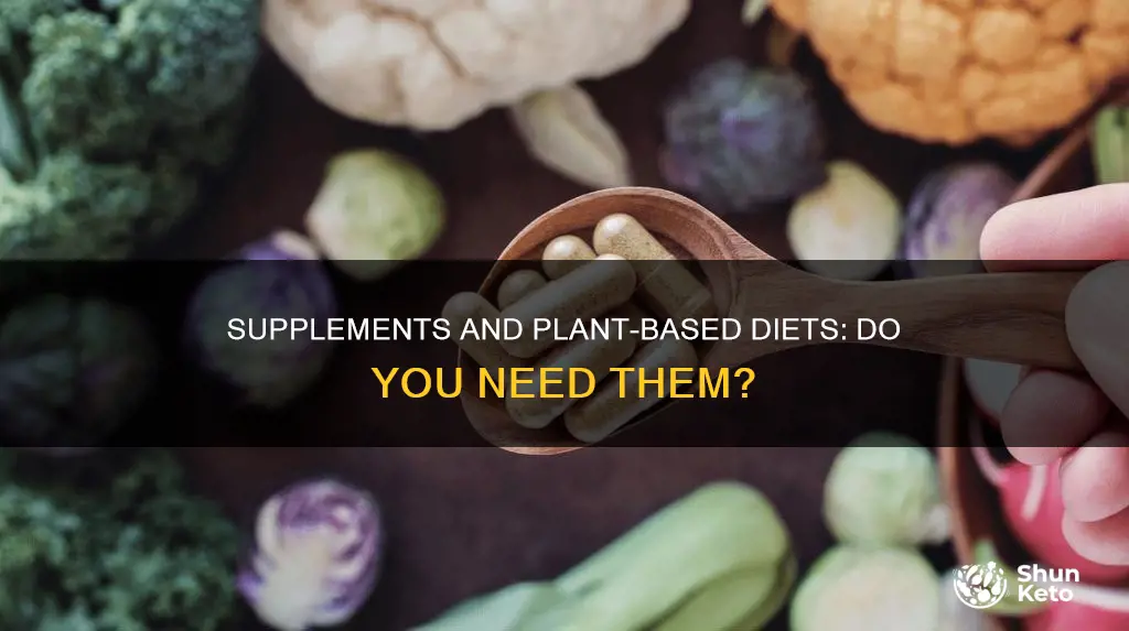 should i take supplements on plant based diet