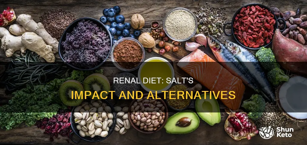 should i use salt on renal diet