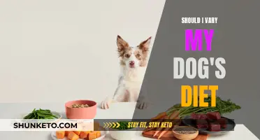 Varying Your Dog's Diet: A Healthy Choice?