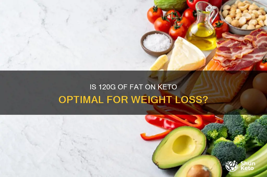 should keto be eating 120g fat
