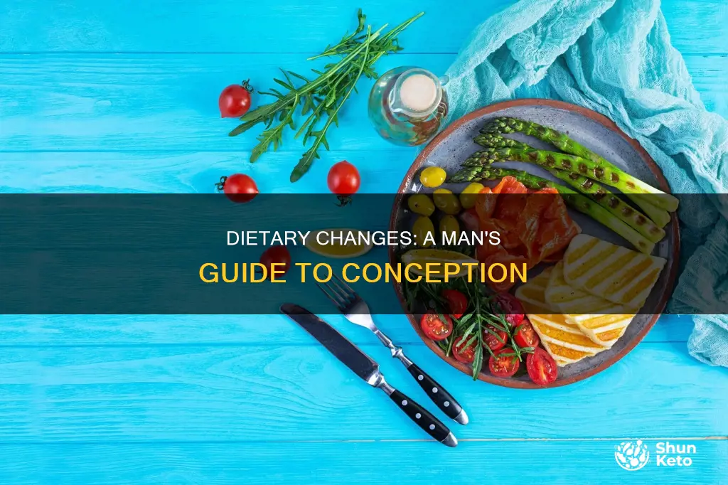 should men change diet when trying to conceive